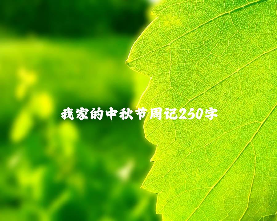 我家的中秋节周记250字