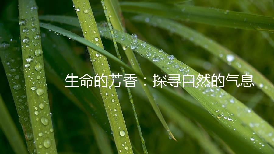 生命的芳香：探寻自然的气息