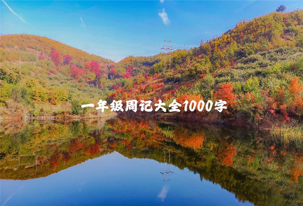 一年级周记大全1000字