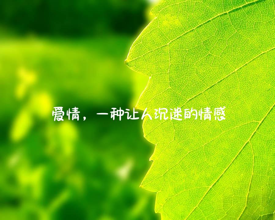 爱情，一种让人沉迷的情感