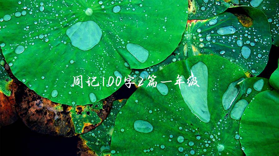 周记100字2篇一年级