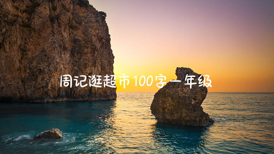 周记逛超市100字一年级