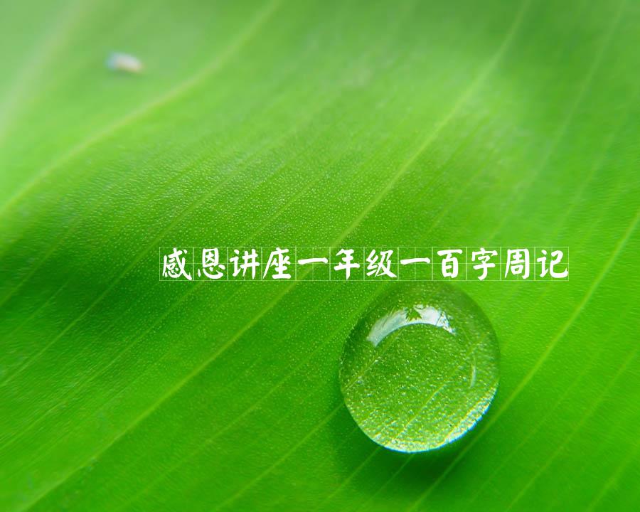 感恩讲座一年级一百字周记