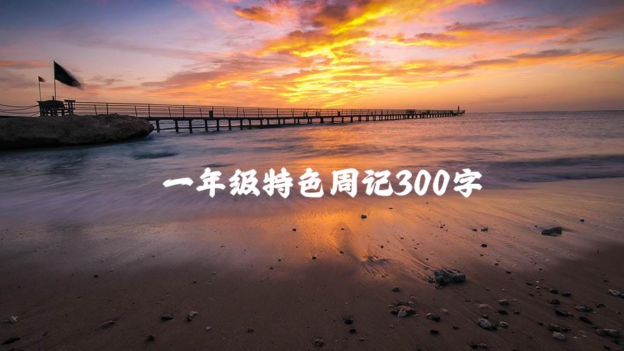 一年级特色周记300字