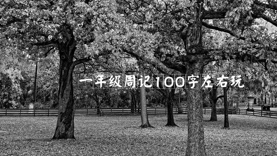 一年级周记100字左右玩