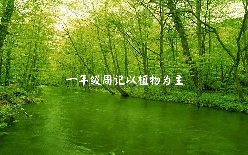 一年级周记以植物为主