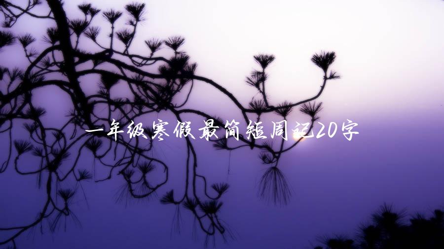 一年级寒假最简短周记20字