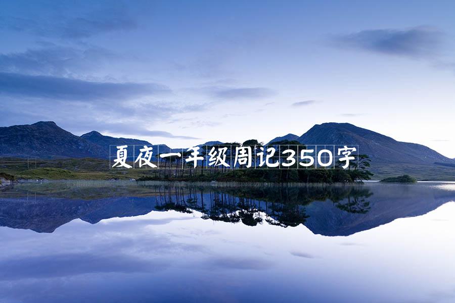 夏夜一年级周记350字