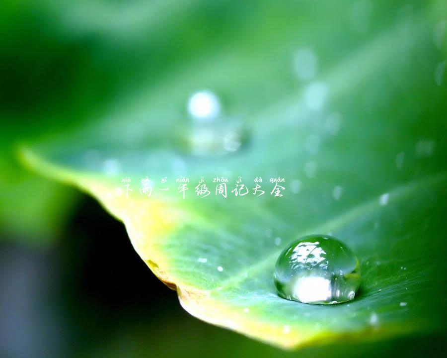 下雨一年级周记大全