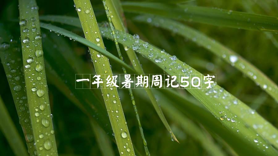 一年级暑期周记50字