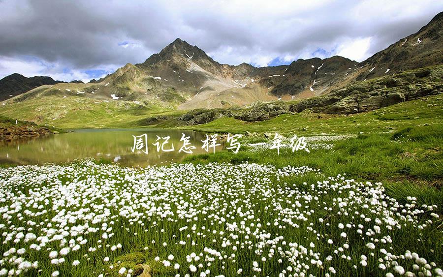 周记怎样写一年级