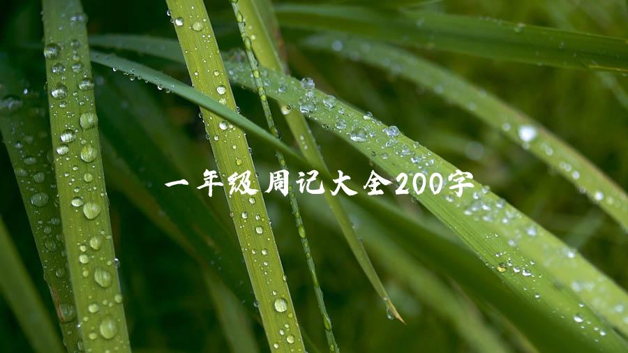 一年级周记大全200字