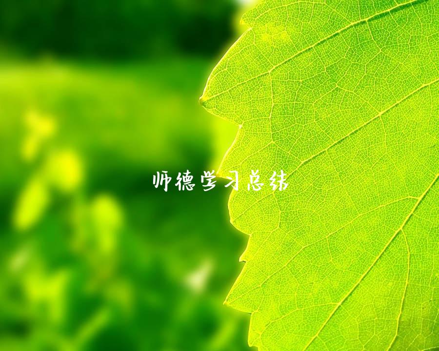 师德学习总结