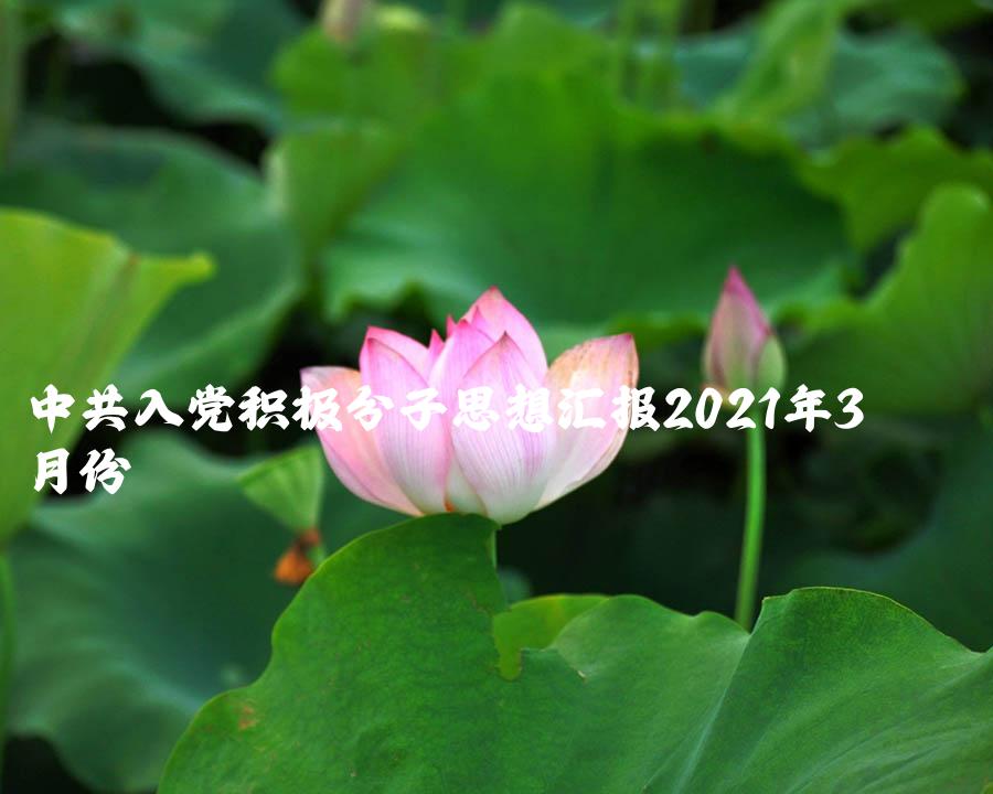 中共入党积极分子思想汇报2021年3月份