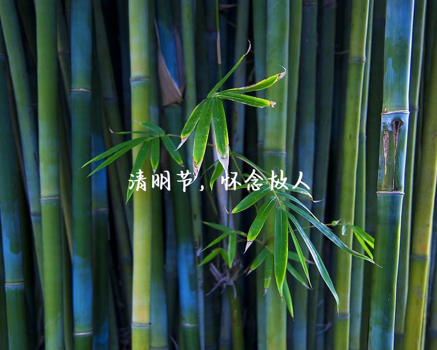 清明节，怀念故人