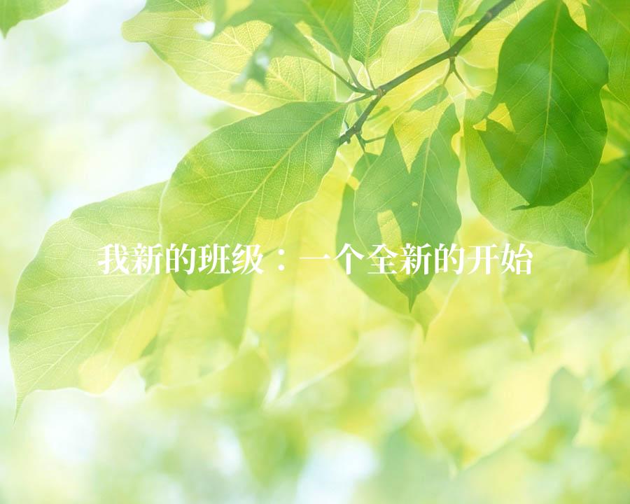 我新的班级：一个全新的开始