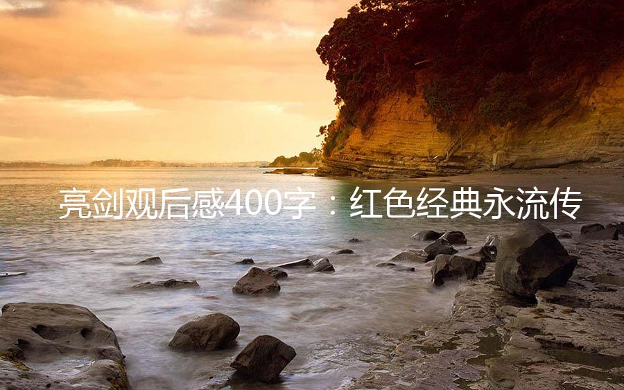 亮剑观后感400字：红色经典永流传