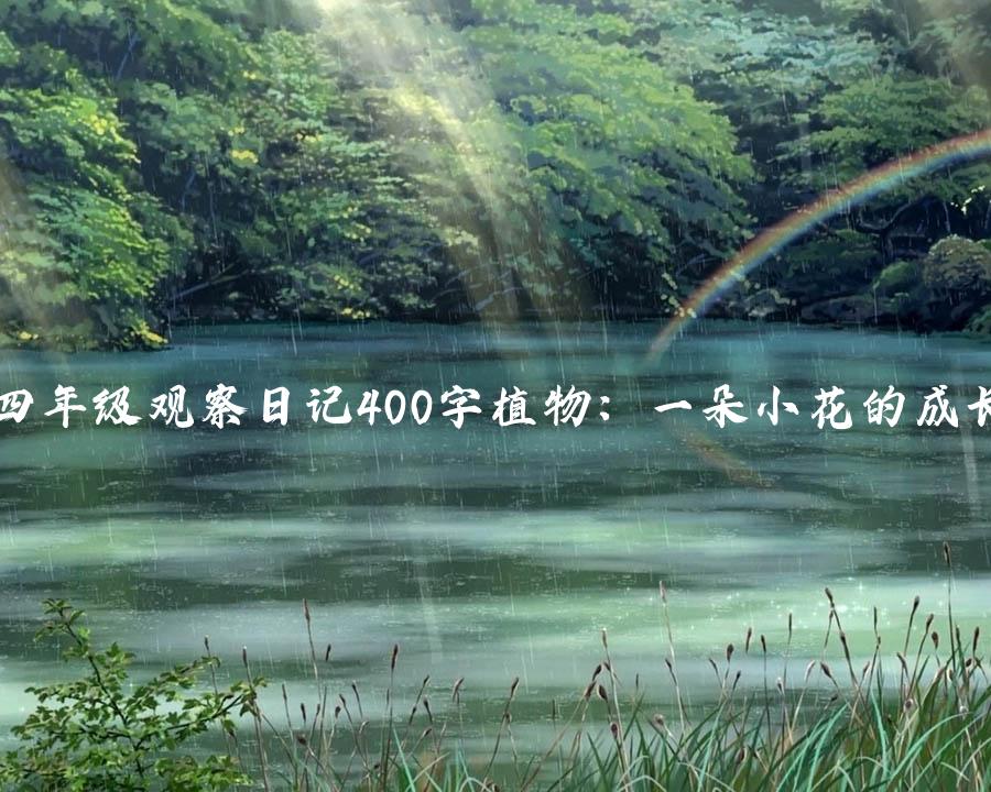 四年级观察日记400字植物：一朵小花的成长