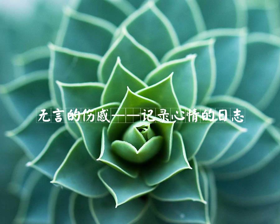 无言的伤感——记录心情的日志