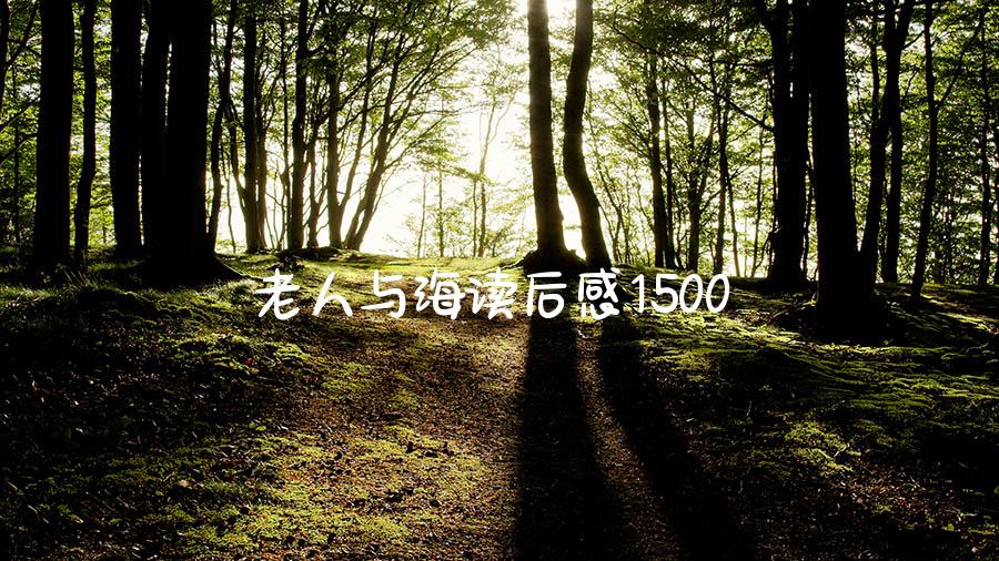 老人与海读后感1500