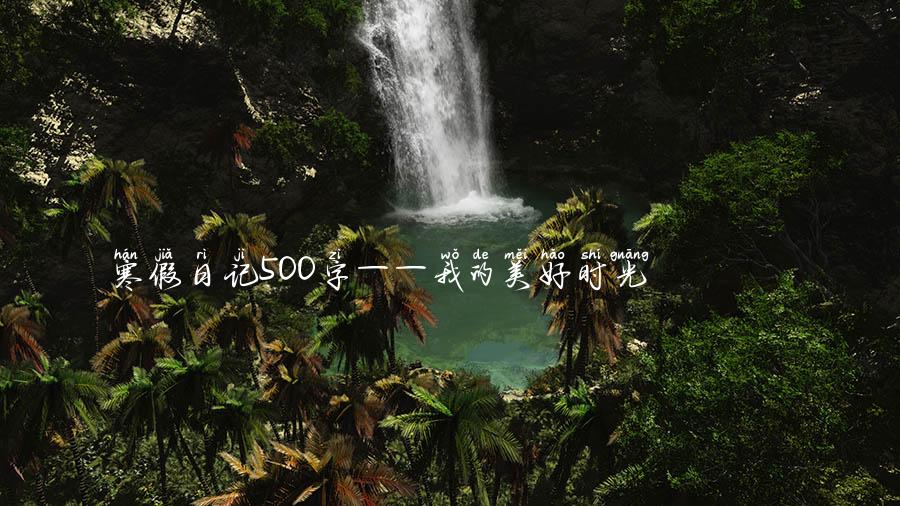 寒假日记500字——我的美好时光