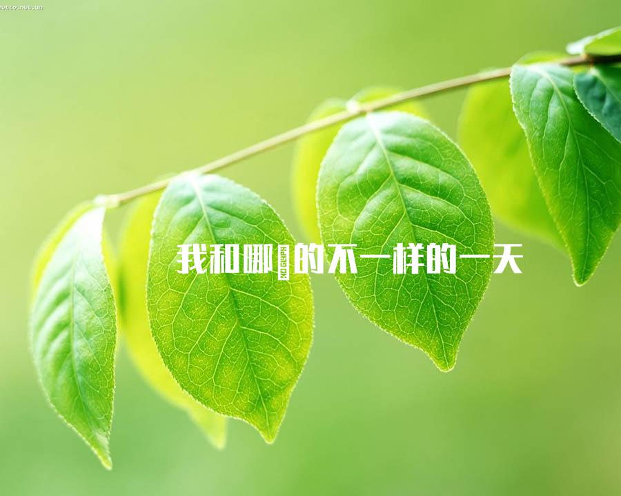 我和哪吒的不一样的一天