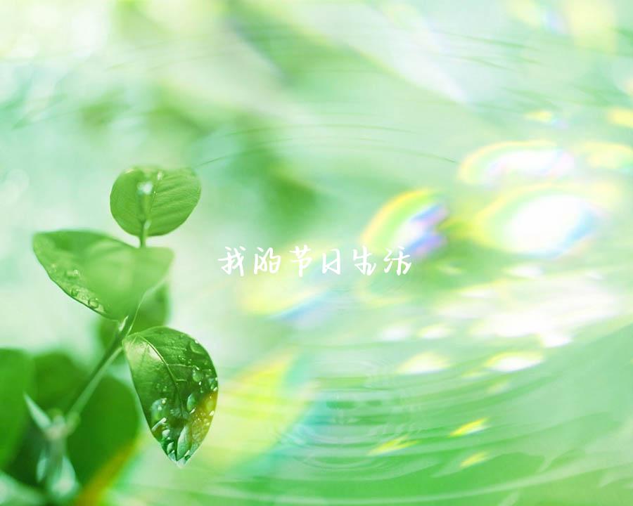 我的节日生活