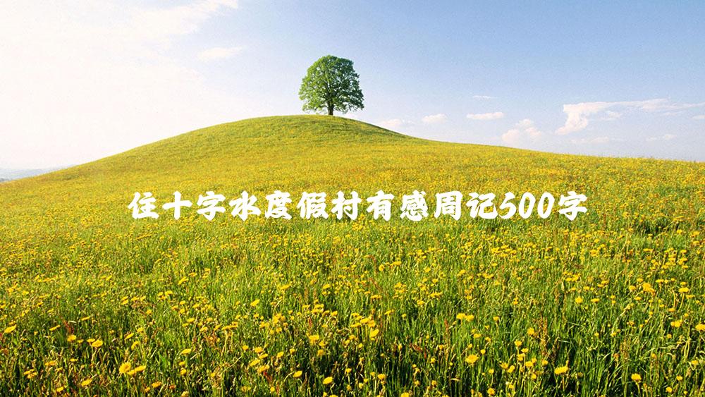 住十字水度假村有感周记500字