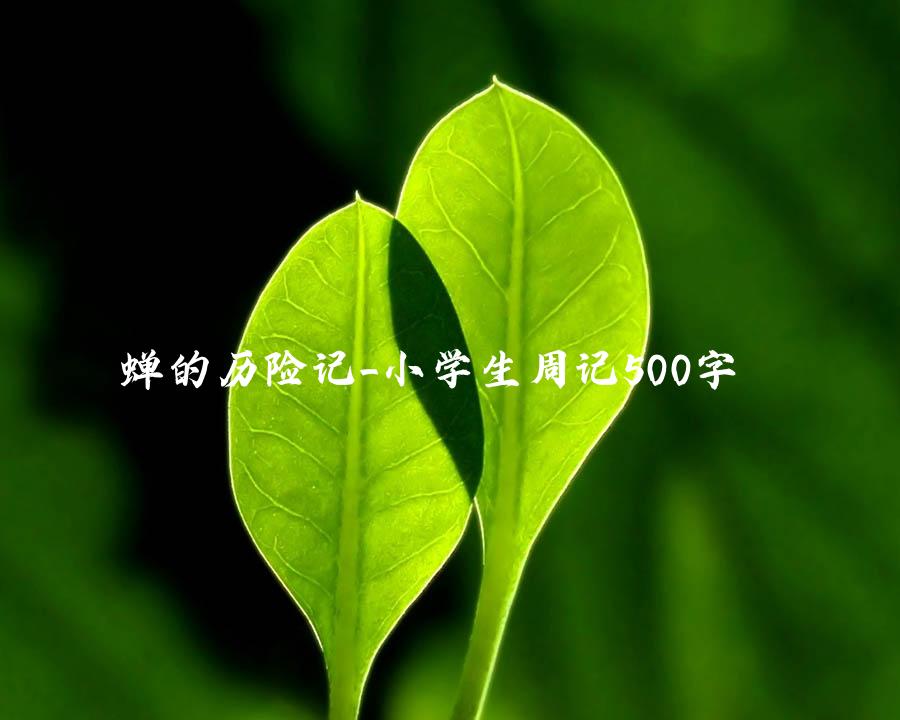 蝉的历险记_小学生周记500字