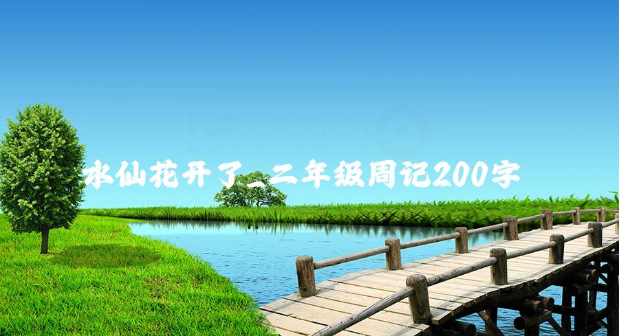 水仙花开了_二年级周记200字