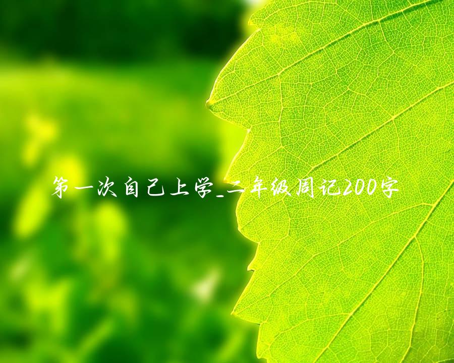 第一次自己上学_二年级周记200字