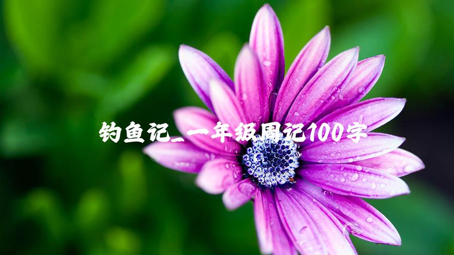 钓鱼记_一年级周记100字