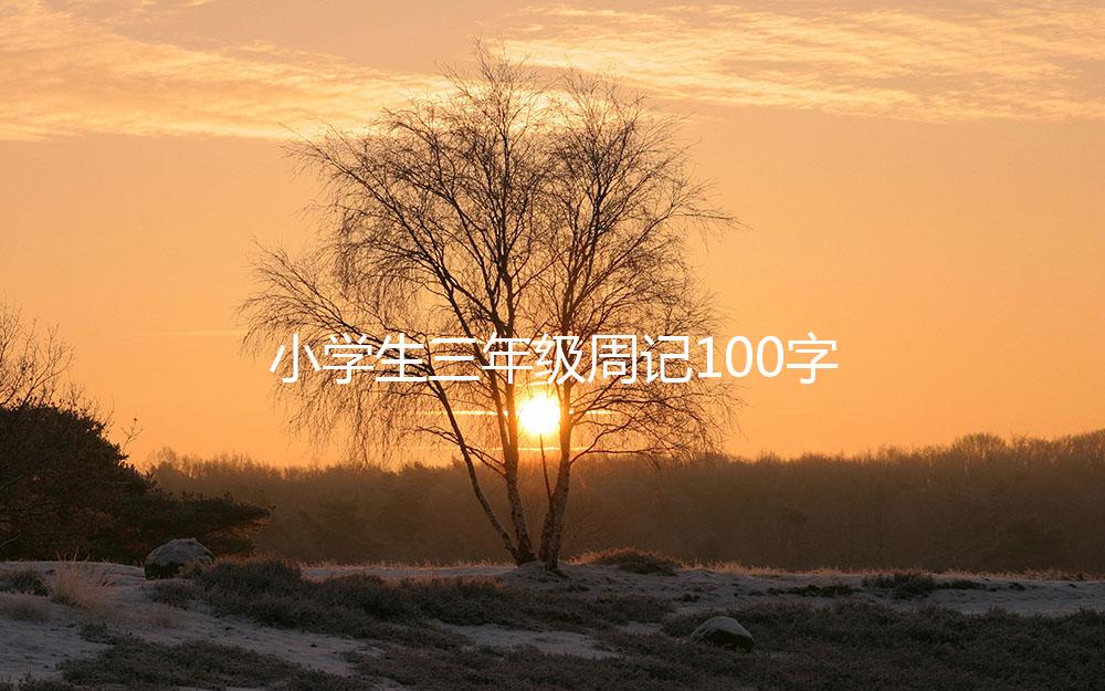 小学生三年级周记100字