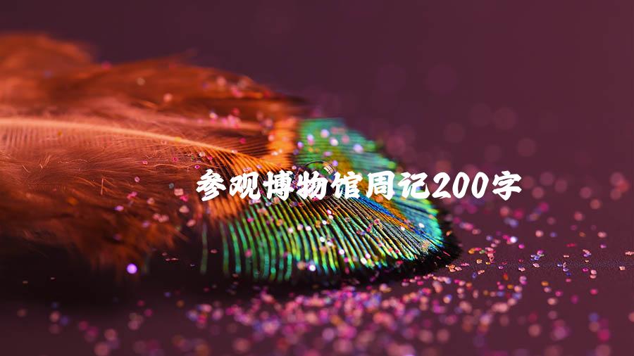 参观博物馆周记200字