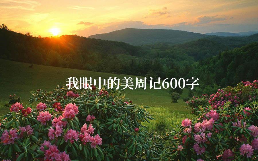 我眼中的美周记600字