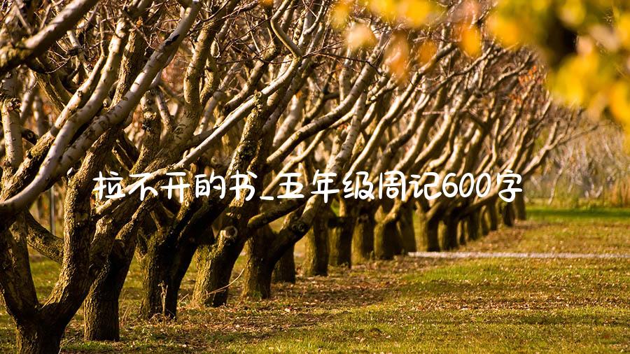 拉不开的书_五年级周记600字