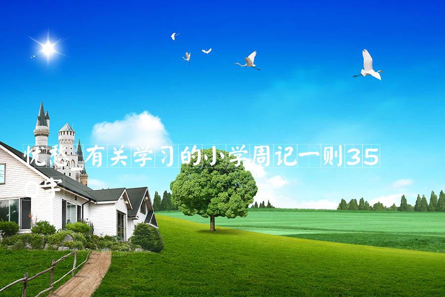 忧愁_有关学习的小学周记一则350字