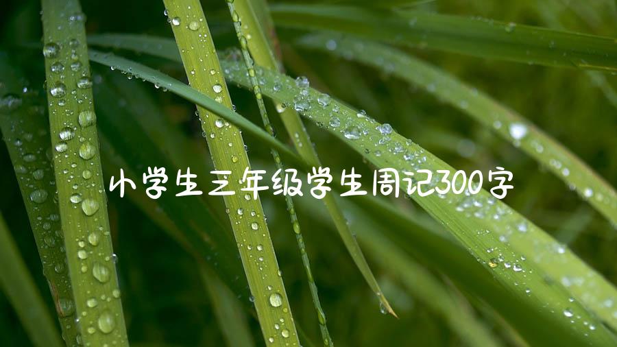 小学生三年级学生周记300字