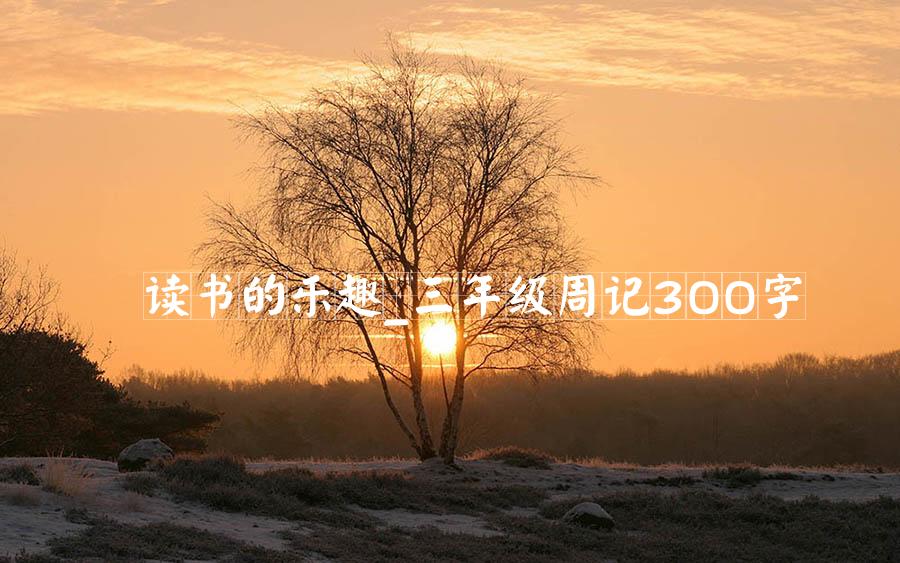 读书的乐趣_三年级周记300字