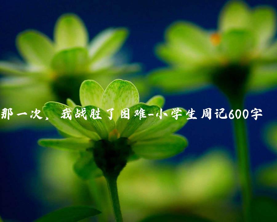 那一次，我战胜了困难_小学生周记600字