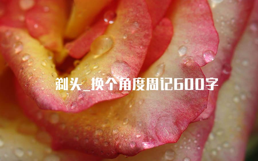 剃头_换个角度周记600字