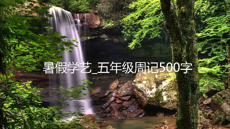 暑假学艺_五年级周记500字