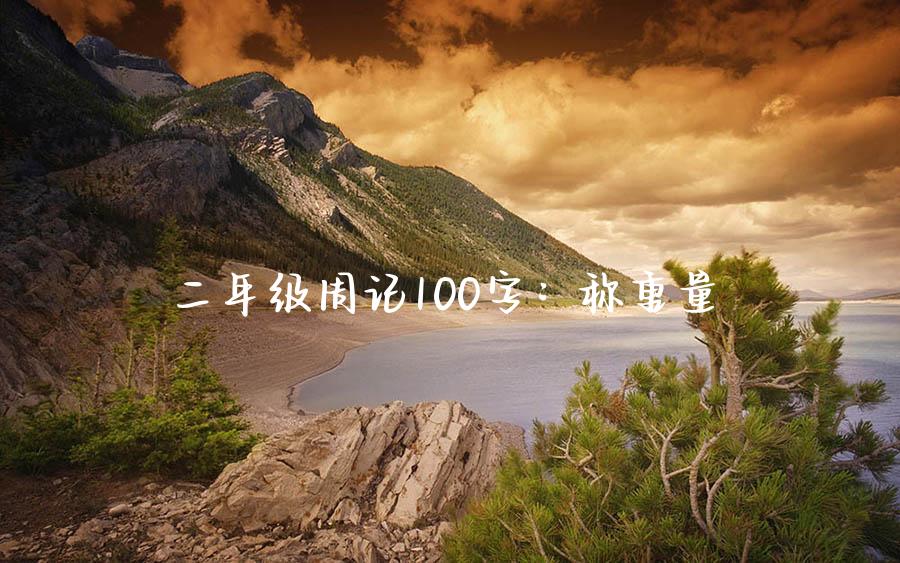 二年级周记100字：称重量