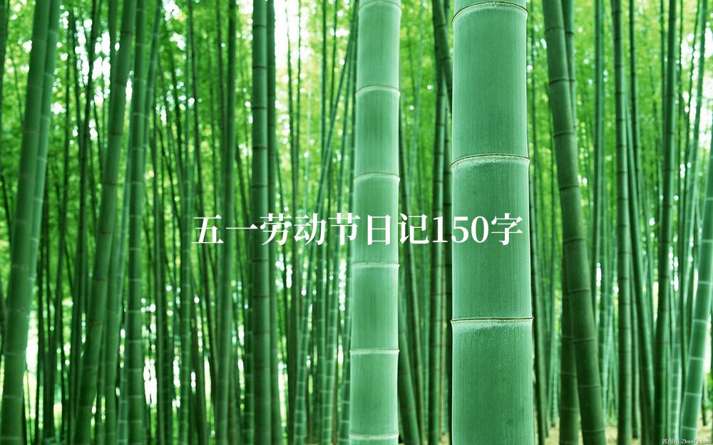 五一劳动节日记150字