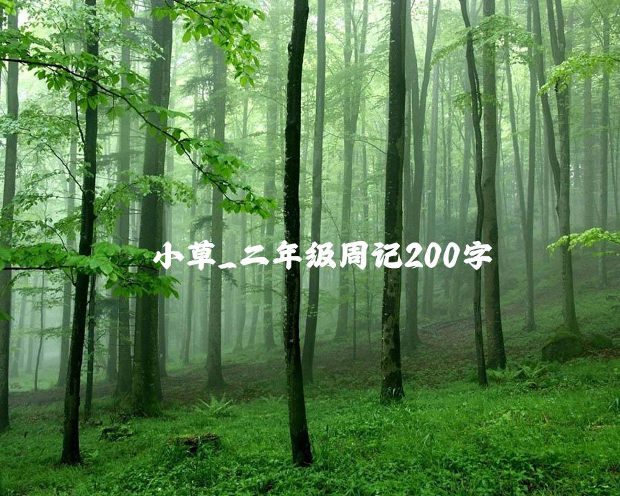 小草_二年级周记200字