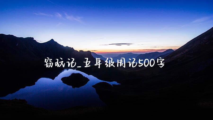 窃玩记_五年级周记500字