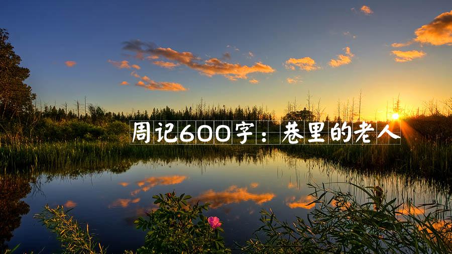 周记600字：巷里的老人