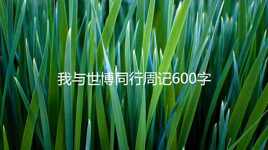 我与世博同行周记600字