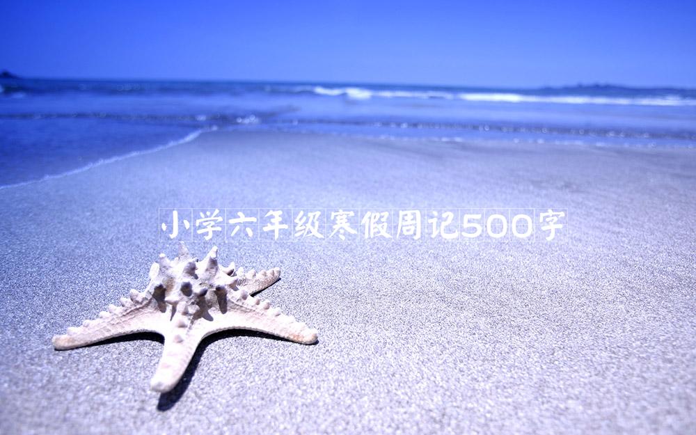 小学六年级寒假周记500字