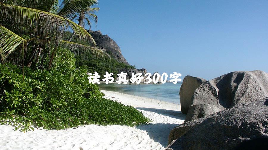 读书真好300字